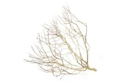 Hobby Desert Bush M, Ca. 30-45 Cm