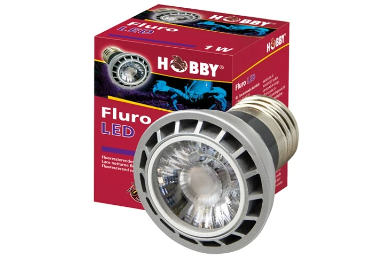 Hobby Fluro LED, 1 Watt 1 Hobby Fluro LED, 1 Watt