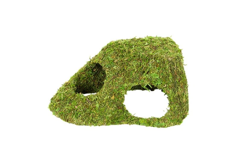 Hobby Jungle Cave 4 1 Hobby Jungle Cave 4