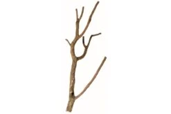 Hobby Korktronchos L, Ca. 75-100 Cm