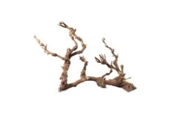 Hobby Weinrebenwurzel Jumbo, Ca. 50-70 Cm