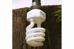 JBL ReptilJungle Daylight, ESL, 24 W -Terrarientier laden JBL Reptil Daylight 24W