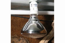 JBL UV-Spot Plus, Für Licht, Wärme, UV, 80W -Terrarientier laden JBL UV Spot plus 3 1