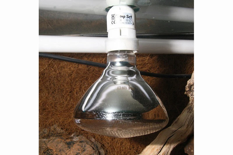 JBL UV-Spot Plus, Für Licht, Wärme, UV, 160W 3 JBL UV-Spot Plus, Für Licht, Wärme, UV, 160W – Bild 3