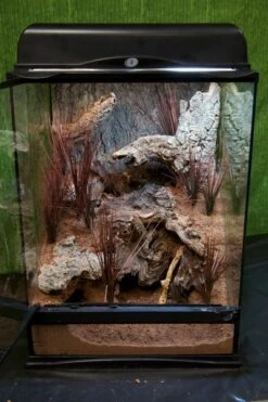Zoomed Naturalistic Terrarium, 30x30x45cm -Terrarientier laden NT 4 Excavator 33498