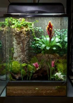 Zoomed Naturalistic Terrarium, 30x30x45cm -Terrarientier laden NT 4 decorated 2012 11579