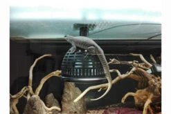 JBL TempProtect II Light M, Verbrennungsschutz 100mm 5 JBL TempProtect II Light M, Verbrennungsschutz 100mm -Terrarientier laden temp protect light 3 1